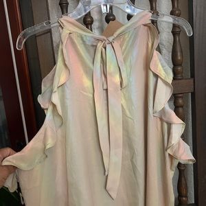 Beautiful ladies iridescent top size 2X